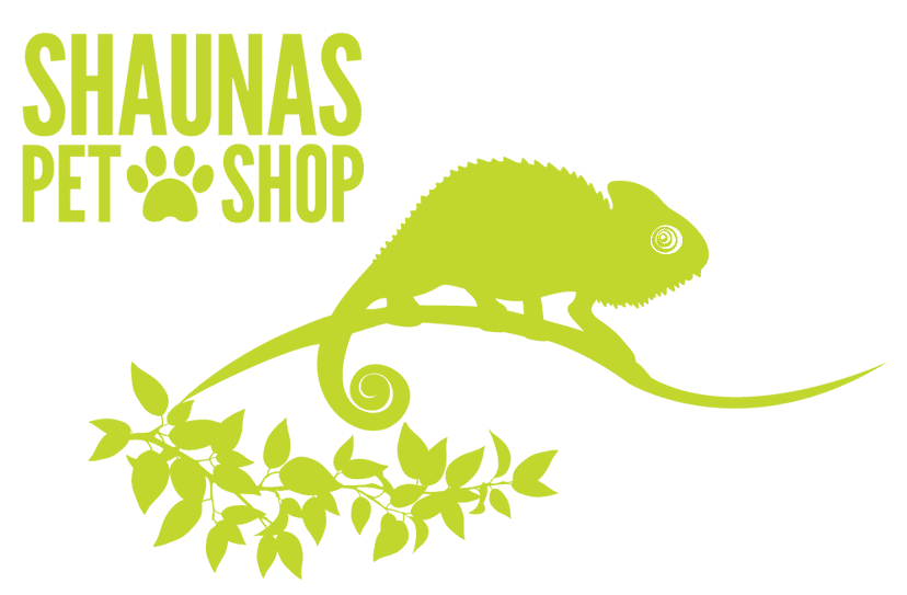 Birds Shauna's Pet Shop Online Pet Store Dublin, Ireland