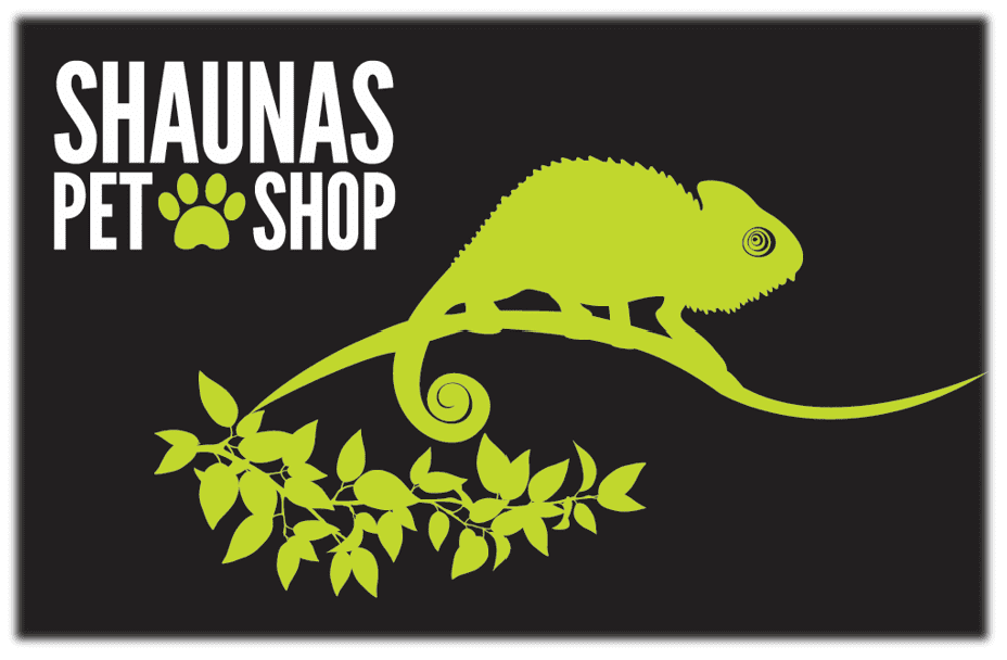 Fish Pet Shop Shauna's Pet Shop Online Pet Store Dublin, Ireland