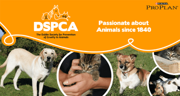 DSPCA