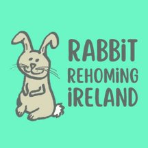Rabbit Rehoming Ireland 